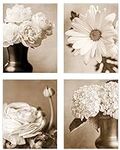 LISA RUSSO FINE ART - Sepia Flowers