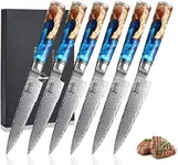 SENKEN Damascus Steak Knife Set - T