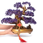 GEMBOURY Natural Amethyst Crystal Tree (1,251 Gemstone Count), 14'' Amethyst Healing Crystal Tree Feng Shui Decor for Luck and Wealth Decoration with Healing Properties
