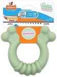 Nylabone Sensory Material Puppy Che