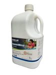 Haxon Swimming Pool Pond, Spa, Fountain Algaecide/algicide Cleaner (5 Liters)