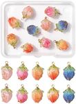 Craftdady 10Pcs Resin Flower Charms