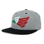 Trendy Apparel Shop Hecho En Mexico Eagle 3D Embroidered Snapback Cap, Heather Mexico, One Size