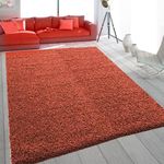 SASONS® Extra Large Shaggy Rug 5cm Thick Soft Pile Modern Fluffy Rugs for Living Room Bedroom Floor Carpet Mat Non Shedding Warm Colours Small Large X-Large Area Rugs (Terracotta, 160 x 230cm)