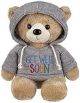 Ganz 9" Get Well Teddy Bear with Gr