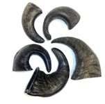 Small Buffalo Horns x 5 Natural Dog Treats Chews