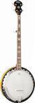 Washburn B10 5-String Banjo, Sunburst Gloss Finish