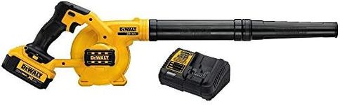 DEWALT 20V MAX* Blower for Jobsite 