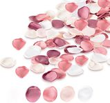 500pcs Silk Rose Petals Blush Pink 