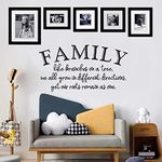 Family Tree Wall Decor, Wall Stickers for Living Room, (Easy to Apply), Wall Decals Vinyl Art Home Kitchen Dining Room Farmhouse Quotes Inspirational Sayings Positive Couples Romantic Life Live Furniture Transfers Famous Decorations Photo Love Words Signs, Family Like Branches On A Tree 21"X11"