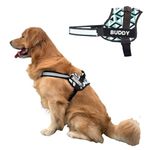 Payton Perry Dog Vest Harness, Choke-Free Double Padded Vest, Adjustable Neck & Chest, Reflective Soft Breathable Mesh (Large, 3D-Cube) (Recommended For 24-35Kg Pet),Multicolor