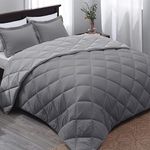 Basic Beyond Twin Comforter Set Reversible Grey Comforter Set Twin - 2 Pieces Ultra-Soft Microfiber Bed Comforter with 1 Pillow Sham for All Season(Charcoal Gray/Grey)