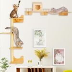 Cat Shelves for Wall, Cat Climbing 