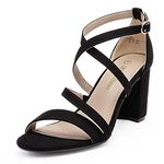 DREAM PAIRS Women’s Ankle Strap Dress Pump Low Chunky Heel Sandals, Black/Suede, 7.5