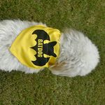 GROOMSOME Batdog Dog V-Bandana/Dog Scarf (Size: Large) Yellow Pack of 1