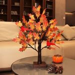 Fanshunlite Artificial Maple Tree Fall Light, 24 LED Art Decor Table Lamp for Thanksgiving Wedding Party Autumn Harvest Indoor Home Decoration, Red Birds