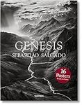 Salgado Print Set: Genesis