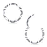 Briana Williams 2pcs Hinged Nose Ring Segment Lip Helix Septum Tragus Helix Rook Earrings Piercing Clicker 20G 18G 16G