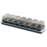 AMOS Windowsill Heated Electric Plant Seed Propagator 7 Trays with Clear High Sided Vented Lids