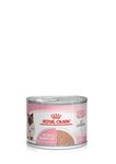 ROYAL CANIN First Age Mother & Babycat Mousse 12 x 195g