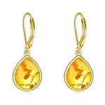 CRMAD Amber Earrings for Women Sterling Silver Amber Leverback Earrings Jewelry Gift for Girls (amber)