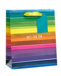 UK Greetings Medium Gift Bag for Him/Her/Friend - For Birthdays, Thank You & Other Events - Rainbow Design