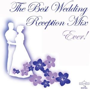 The Best Wedding Reception Mix Ever!