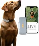 PAJ GPS Tracker for Dogs - Runaway Alarms + Worldwide Live Tracking - Battery Saving Mode Near Routers - Dog Recall - LED Lights - Waterproof (IP67) - fits every collar, Grey