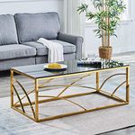 AINPECCA Frame Coffee Table Stainless Steel with Dark Grey Tempered Glass Design Living Room (Gold)