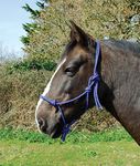 Rhinegold Rope Halter-Full-Black