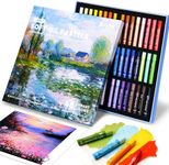 Arrtx Artist Oil Pastels 48 Colors Set, Soft Oil Pastel Vibrant and Creamy, Professional Oil Pastel Crayons Set Art Supplies for Artist and Beginners