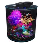 Marina iGlo 360 Aquarium Kit - 10 L (2.65 US gal), Blue,White, 10 l (Pack of 1)