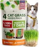 HOME GROWN Cat Grass Seeds - Grow Cat Grass for Indoor Cats - Cat Grass Seeds Bulk - Refill Cat Growing Grass Kit - Heirloom Cat Grass Seed (Cat Grass - 4pack)