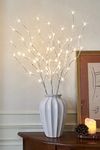 EAMBRITE Home Decorative Twig Lights Lighted White Birch Twig Branches Pathway Stakes with 60 LED White Lights Waterproof Plug in for Outdoor and Indoor Decor (3PK, 76cm)