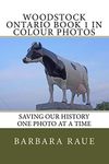 Woodstock Ontario Book 1 in Colour Photos: Saving Our History One Photo at a Time: Volume 125 (Cruising Ontario)