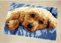 Latch Hook Rug Kits DIY Crochet Yarn Rugs with Color Preprinted Pattern Craft Tapestry Kits for Home Decor(20.5X14.9 Dog)