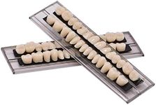 MIBICIRI 56Pcs Dental Synthetic Acr