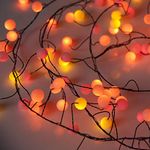 Qbis Premium LED Cluster Lights. Christmas Garland Fairy Lights. Red, Orange and Yellow. These Berry Cluster Lights are Perfect as Christmas Lights (120 LED Berry Sunset (Black Wire))