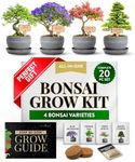 HOME GROWN Bonsai Tree Kit – Easy to Grow 4 Species of Bonsai w/Our Complete Plant Kit: Bonsai Pots & Peat Pellets Including a Bonus in-Depth Grow Guide | Great Gardening Gifts for Women and Men