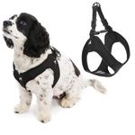 Gooby Escape Free Easy Fit Harness - Black, Large - No Pull Step-in Patented Small Dog Harness with Quick Release Buckle - Perfect On The Go No Pull Harness for Small Dogs or Medium Dog Harness