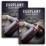 2 Packs Black Beauty Eggplant Seed 