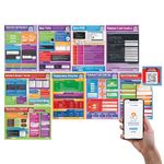 Daydream Education Computer Programming Posters - Set of 9 Computer Science Posters | Gloss Paper | 850mm x 594mm (A1) | FREE Interactive Quizzes | Computing Classroom Charts