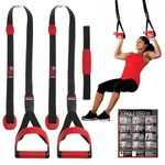 Lifeline Jungle Gym XT Suspension Trainer - Black