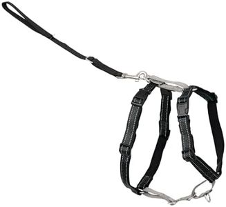 PetSafe 3 