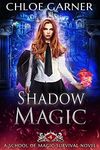 Shadow Magic (School of Magic Survival Book 4)