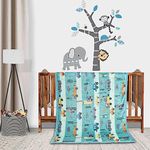 Florida All Season AC Baby Blanket Swaddler Wrapper Flannel Soft and Comfortable for 0-5 Years Babies with Adorable Prints and Designs