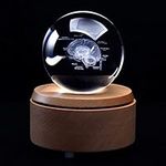 3D Human Brain with Labels Anatomical Model Paperweight(Laser Etched) in Crystal Glass Ball Science Gift (Included LED Base)