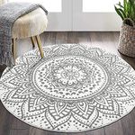 Pauwer Round Area Rug 120 cm Shaggy Ultra Soft Touch Carpet Rug Luxury Fluffy Non Slip Washable Living Room Rug Floor Bedside Carpet Rug,Light Grey