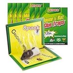 Pack Glue Traps for mice.Pack Large Mouse Glue Traps with Enhanced Stickiness. Easy to Set.Extra Large. Rat Mouse Traps. Sticky Pad Board for House Indoor Outdoor.Sticky Mouse .Mouse Traps Indoor (8)