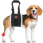 Adjustable Dog Lift Harness, Dog Sling for Large Dogs Lift Support and Rehab Harness for Weak Rear Legs, Soft Hind Leg Support Helps Senior, Injured, Disabled and After ACL Surgery Dogs(Black,Medium)